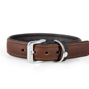 Collier pour chien Vancouver Mocca